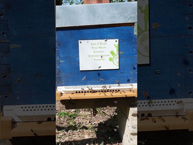 La ruche N°45 - Avril 2021