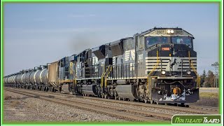 Railfanning BNSF Staples Subdivision (2017 | Part 3)
