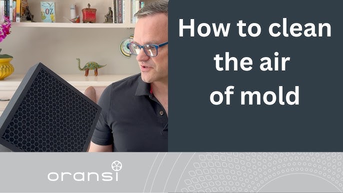HEPA air purifier mold removal demonstration