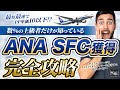 【1ヶ月でSFC達成！？】最短最速でSFC獲得完全攻略！PP単価10以下の路線？費用？日数？【あなたはどれを重視する？】JAL JGC修行とANA SFC修行は今年が最後のチャンス！