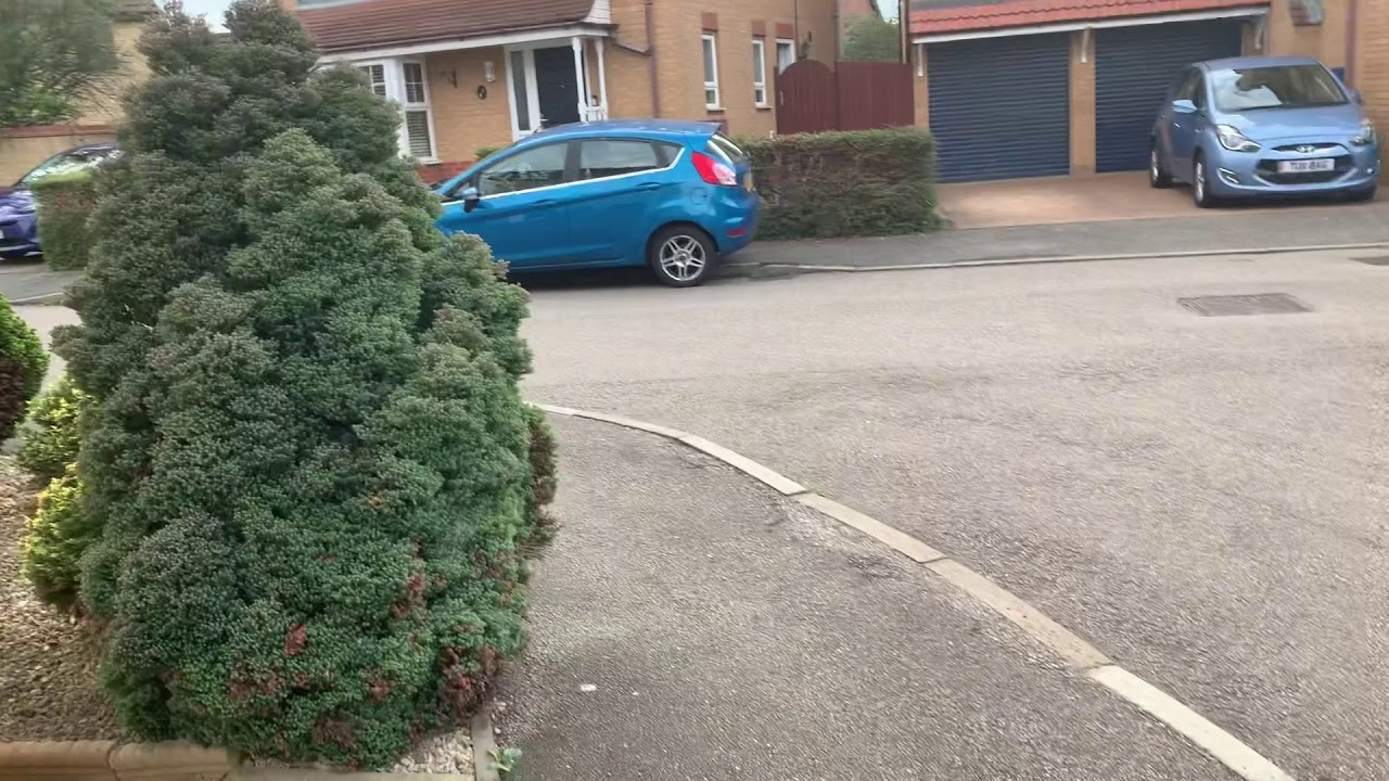 Tony made a comeback to my area as Nick hasn’t came to my area for a while.