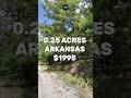 0.25 Acres with road access for Sale in Cherokee Village Arkansas for $1,995 #fyp #foryou #reels