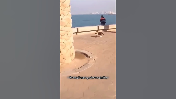رجل فقد قطته منذ سنوات ولكن حدث شيء غريب..😮#قطط#قطط_صغيرة