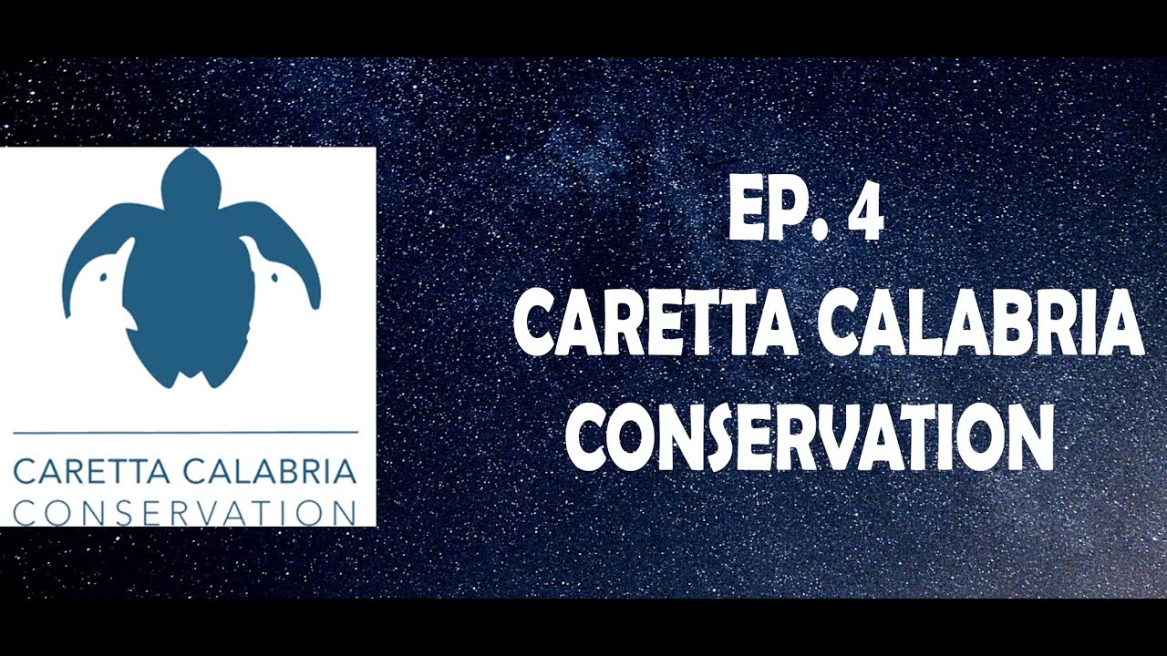 Episodio 4 : Salviamo le tartarughe con Caretta Calabria Conservation ...