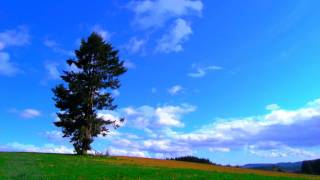 Poubel Hill