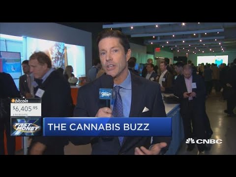 Inside one of the biggest cannabis investor conferences thumbnail
