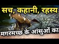 क्यों कहा जाता है कि मगरमच्छ के आंसू मत बहाओ | मगरमच्छ के आंसू का मतलब | Meaning of Crocodile Tears