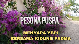 Kidung Padma Semerbak Warna-Warni Puspa Samudera Biru