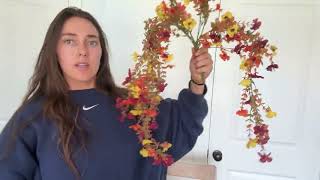 IMG_6423.MOV