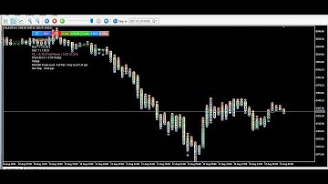 Hedging Pro Ultimate,  crazy gold scalper bot