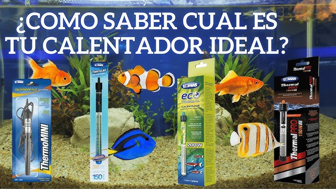 Termometro De Acuario Placa Blister Lomas Adhesivo