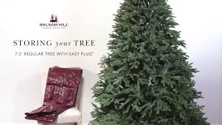 How to Store an Easy Plug Christmas Tree from Balsam Hill