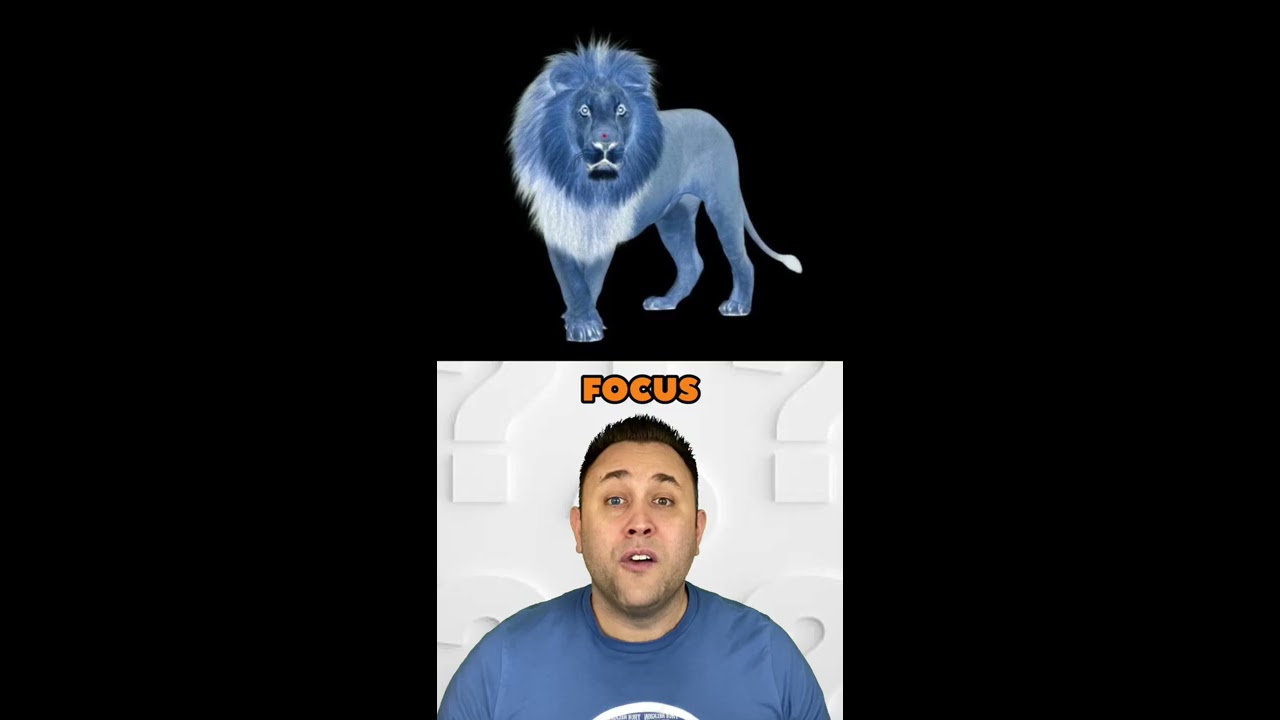 Best Optical Illusion LION