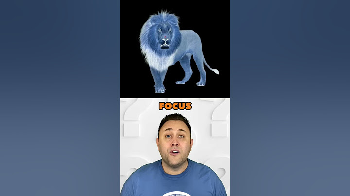 Best Optical Illusion - LION