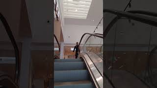 Next shop up escalator fosse park