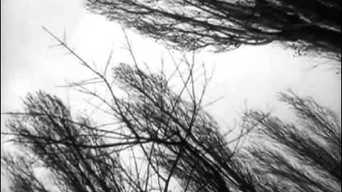 Sigha - Finding Myself [Ann Aimee]