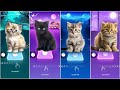 CUTE CATS BTS DYNAMITE vs BLACKPINK PINK VENOM vs IMAGINE DRAGONS BONES vs BABY SHARK JENNIE SOLO