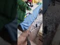 صباح الشغل صباح الزفت صباح القرف