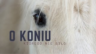 O koniu, którego nie było