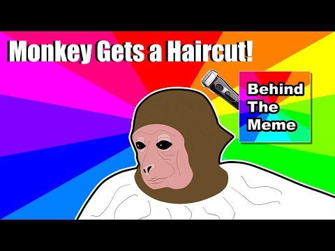 monkey-getting-a-haircut-from-behind-the-meme-(monkey-gets-haircut-vs-behind-the-meme)-animation