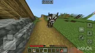 survival #minecraft #trending #viral #gaming