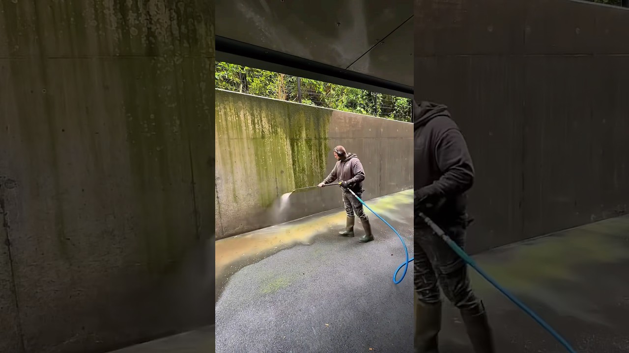 Watch how satisfying this pressure washing is😌 