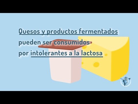 Vídeo: Què són els bacteris que fermentan la lactosa?