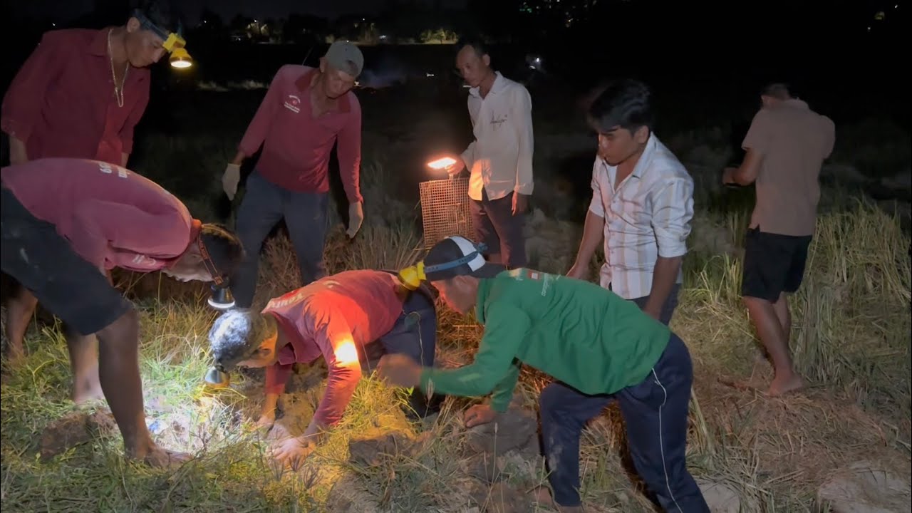 Săn bắt chuột bạn đêm phải nói là bữa nay trúng mánh quá đậm VXĐ # 661