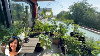 Balkongarten Ende Juni 2026 - Rundgang, viel funktioniert, manches auch nicht