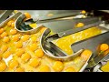Food Industry Machines With Modern Production Process That Are At Another Level ➤#2