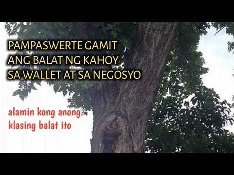 Video: 3 Mga Paraan upang Makakuha ng Balat na Balat sa Balat ng Kahoy