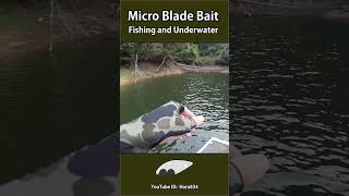 #shorts Micro blade Baits. Bass fishing and underwater video. #lure #bassfishing