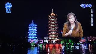 雅鈞 アンコ椿は戀の花(日語)驚什麼 109/12/16