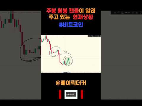 비트코인 주봉, 월봉 캔들