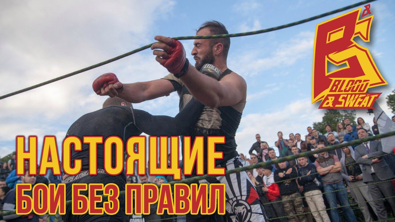 Pronabol ������: ����.