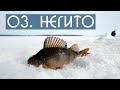 Зимняя рыбалка на озере Негито. DF 49