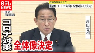 【政府】新型コロナ対策　全体像を決定