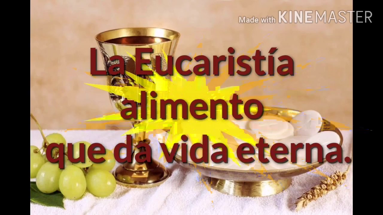 La Eucaristía alimento que da vida eterna. - YouTube