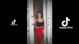 KUMPULAN GOYANG TIKTOK PALING HOT DAN BIKIN BASAH ALA TANTE SARAH ARDHELIA VIRAL (PART 5)
