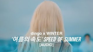 dingo X 윈터 WINTER - ‘여름의 속도’ Speed Of Summer | Audio Only