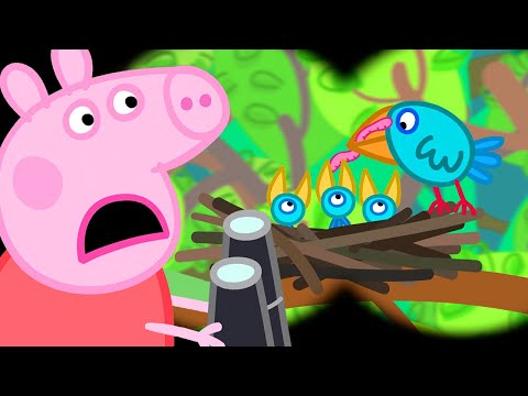 Peppa Pig Português Brasil, Caminhada, Aventura ao ar livre