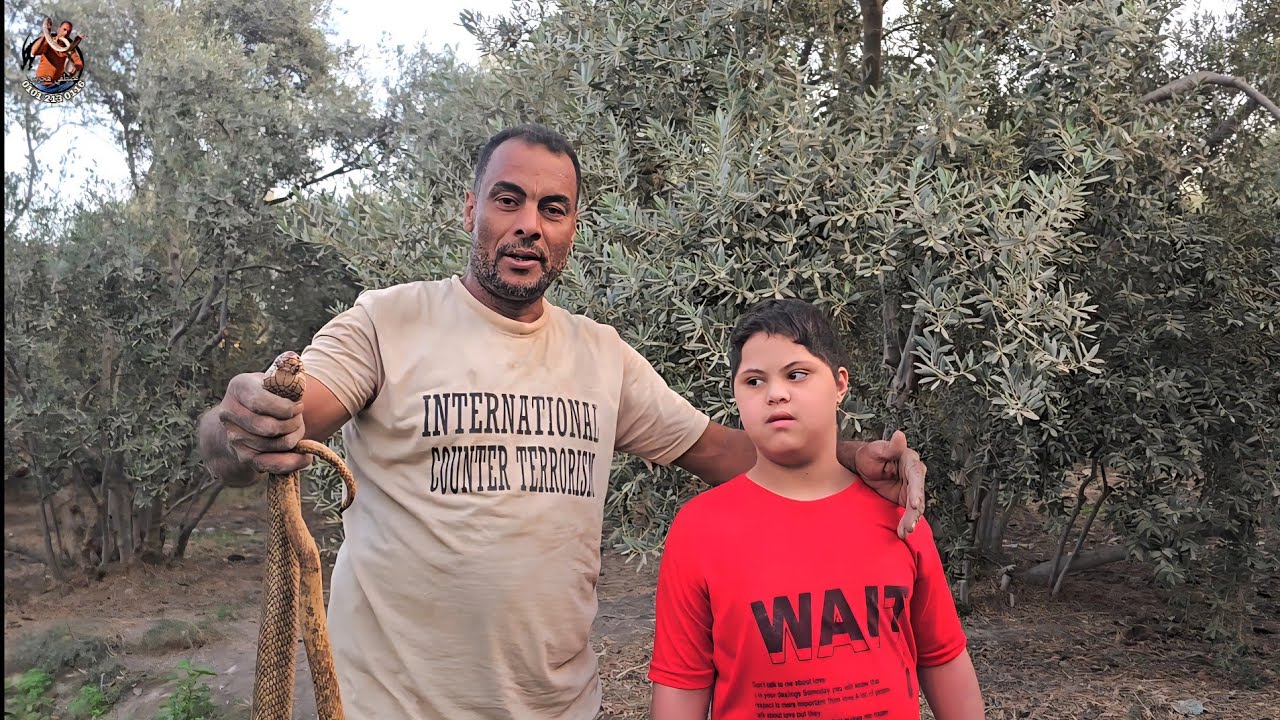 صيد صعب جدا لكوبرا من فوق شجرة زيتون مع مصطفى هجرس 