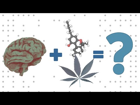 Why Does Weed Make Us High?