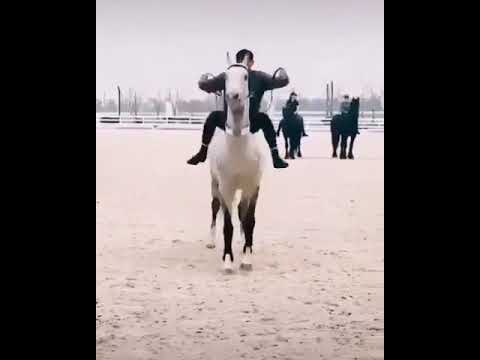 كنت عبدا في بحور الغي والاثم غريقا حالات واتس اب الخيل انشودة حالات قصيرة