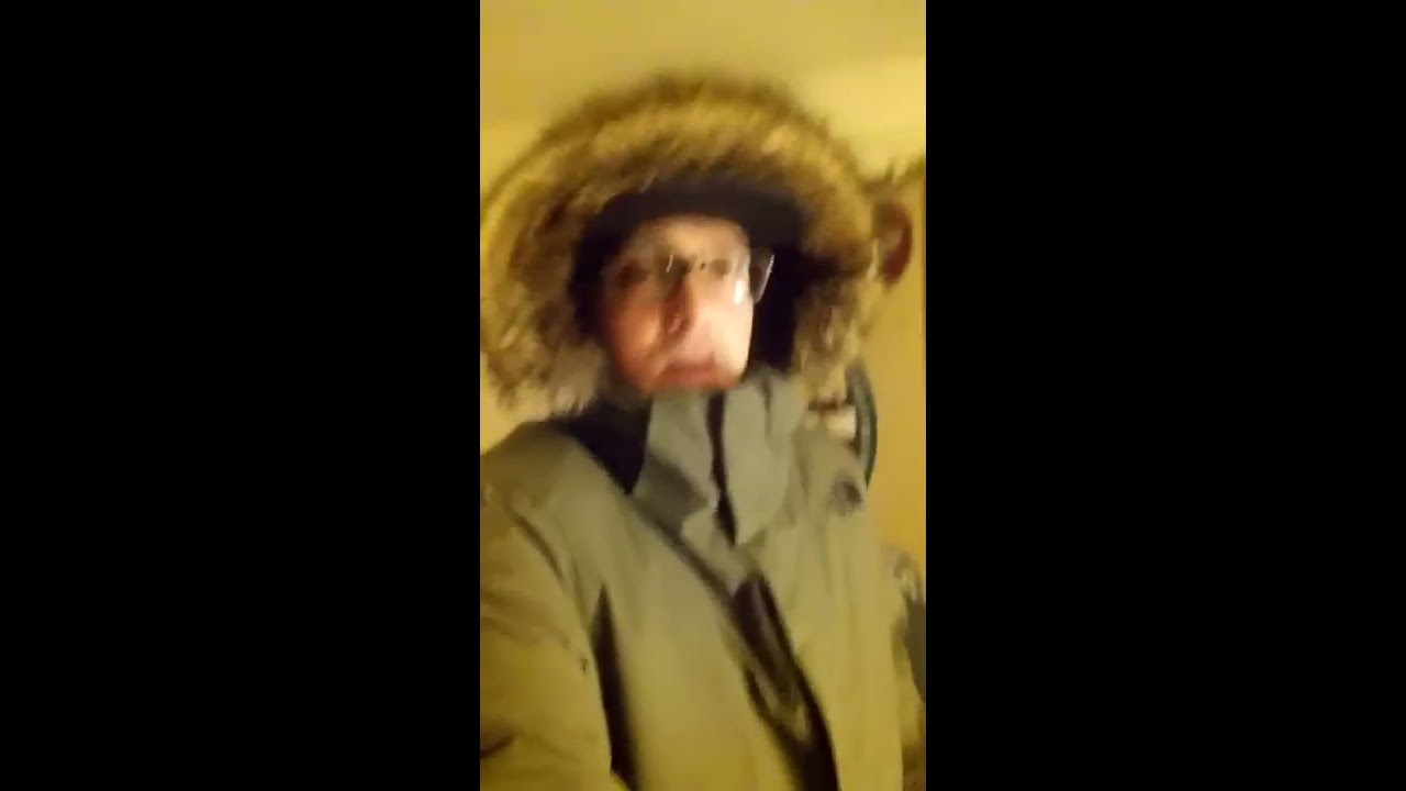 north face mount logan