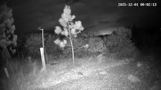 Chacra Mithrandir - Maravillosas noches para ver la fauna y las estrellas