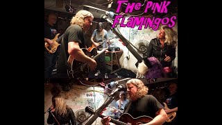 The Pink Flamingos Live