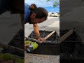 Dumpster Find Rehab! #fyp #foryou