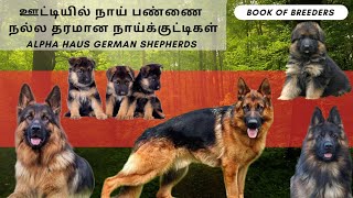 Best German shepherd kennel in ooty | Dogs and puppies for sale GSD long and short coat