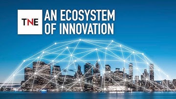 How cloud can help businesses experiment, innovate, and improve agility | The New Economy